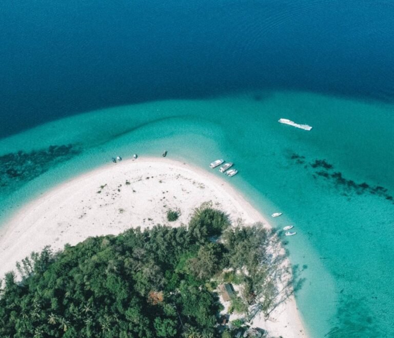 Bamboo Island img