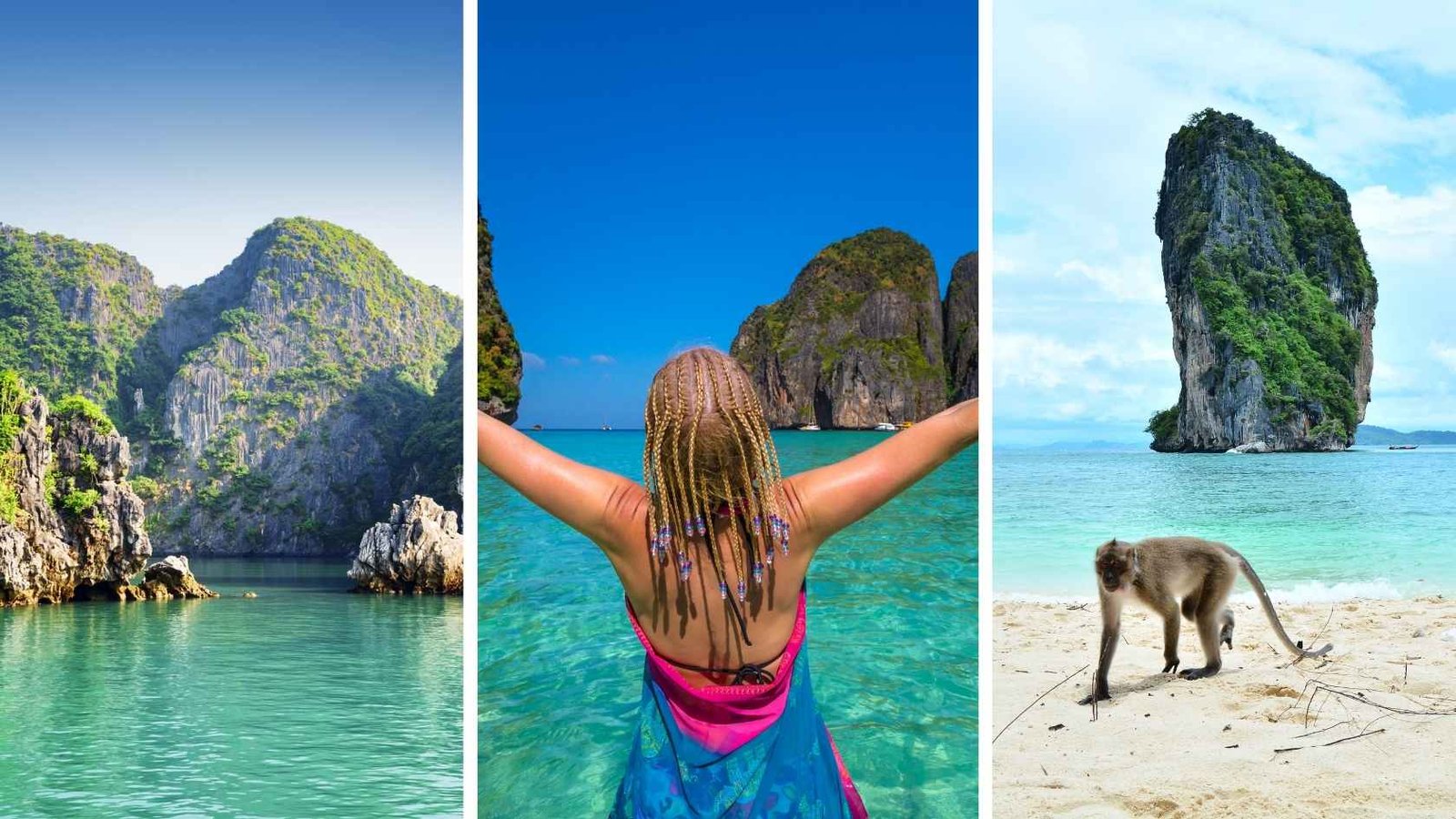 que hacer en phi phi img