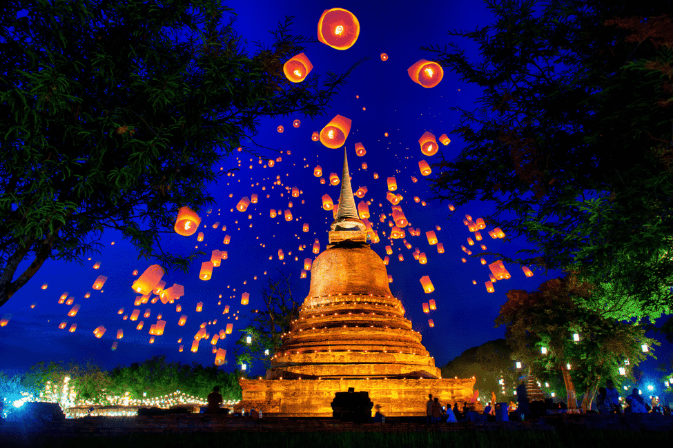 Fiesta Noche lUCES (1)