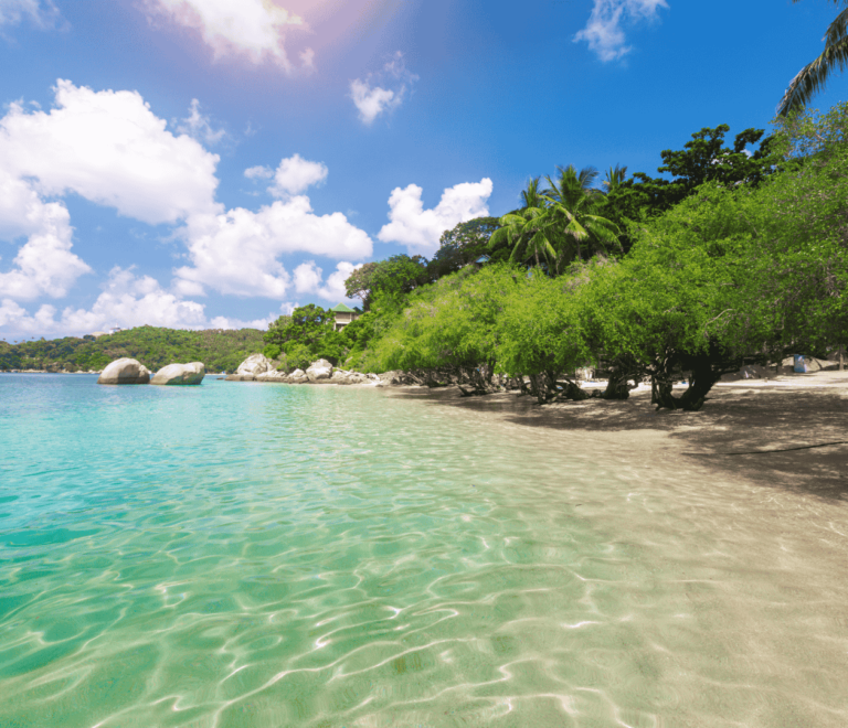 koh tao freedom beach img