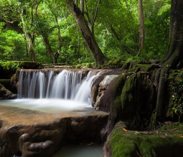 Parque Nacional de Than Bok Khorani: