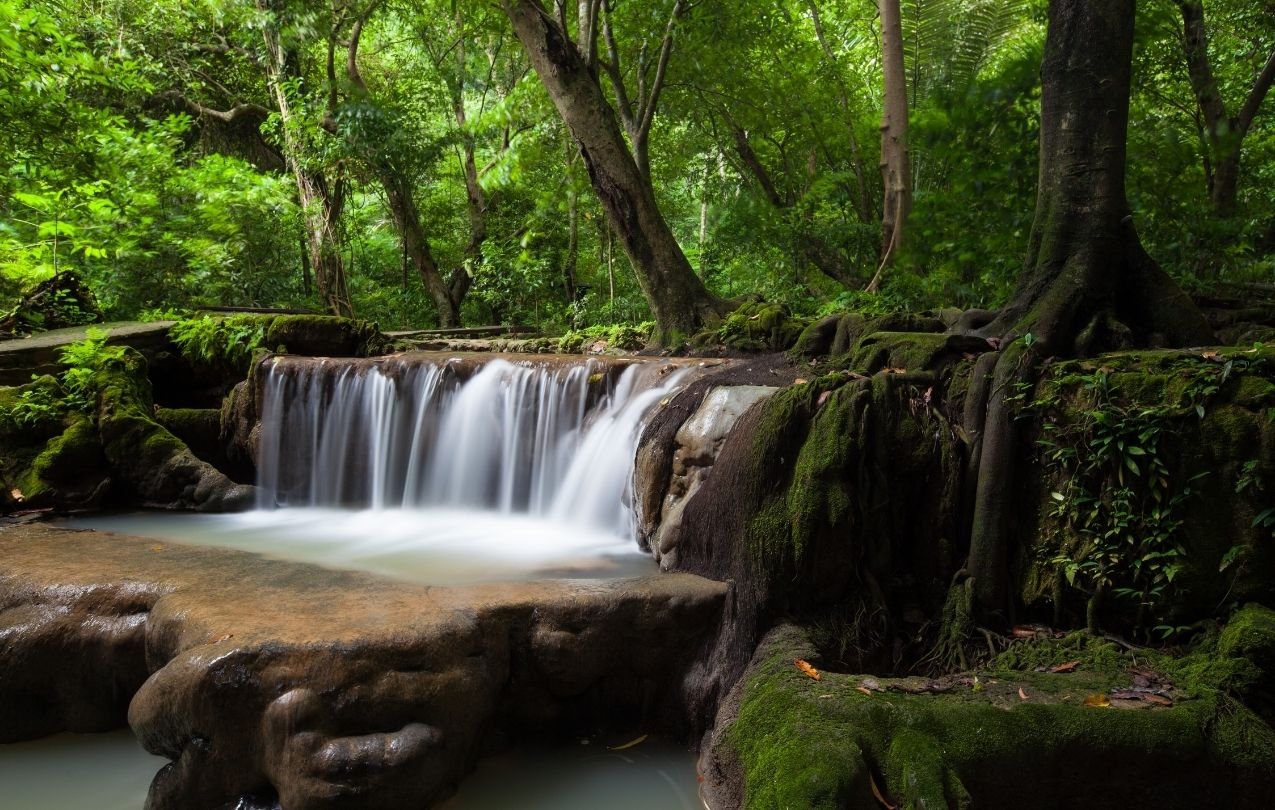 Parque Nacional de Than Bok Khorani: